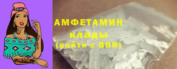 дмт Богданович